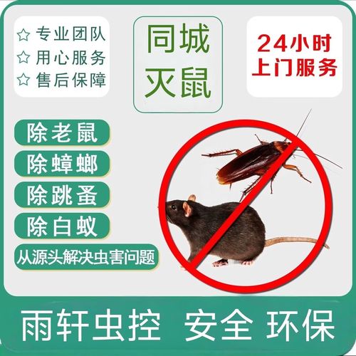 告别小强噩梦 同城上门专业灭蟑螂，守护家庭与食品厂的安全防线